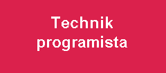 Technik programista